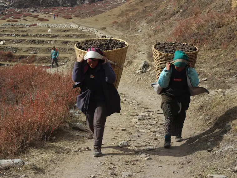Two women carrying baskets along a terraced trail