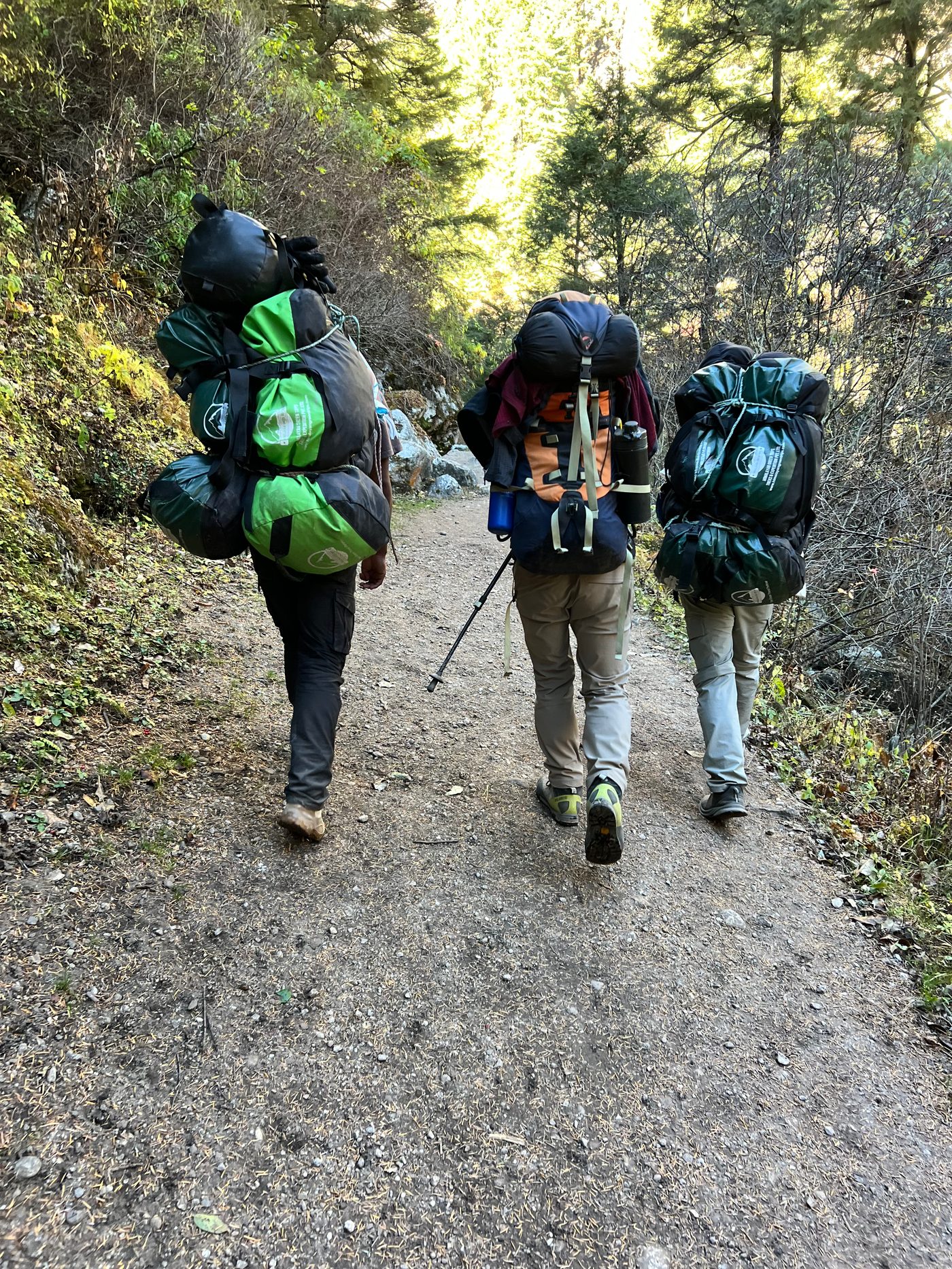 Three people carrying large backpacks along a forest trail